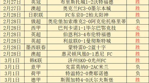 维尔茨破门助勒沃库森战胜圣保利
